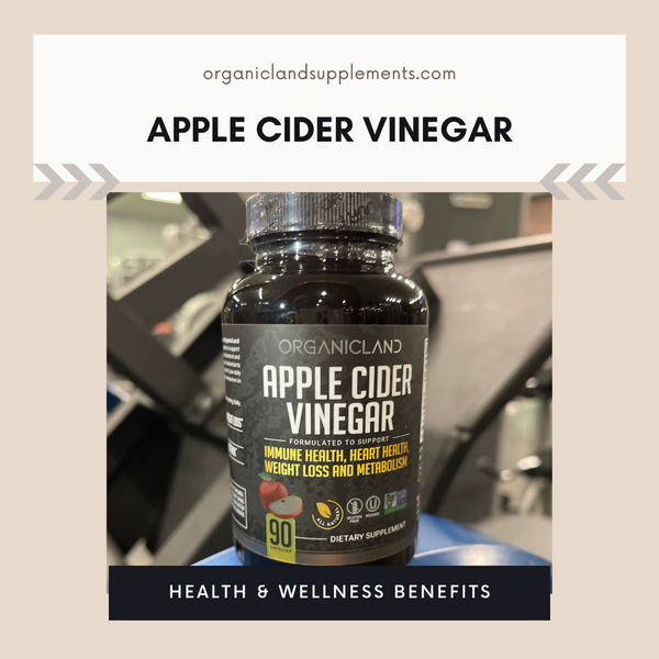 Harnessing the Potential of Apple Cider Vinegar A Comprehensive Guide to Health and Wellness