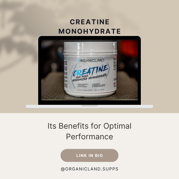 Creatine Micronized Monohydrate Its Benefits for Optimal Performance
