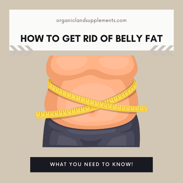 How to Get Rid of Belly Fat: A Comprehensive Guide to Nutrition and Exercise