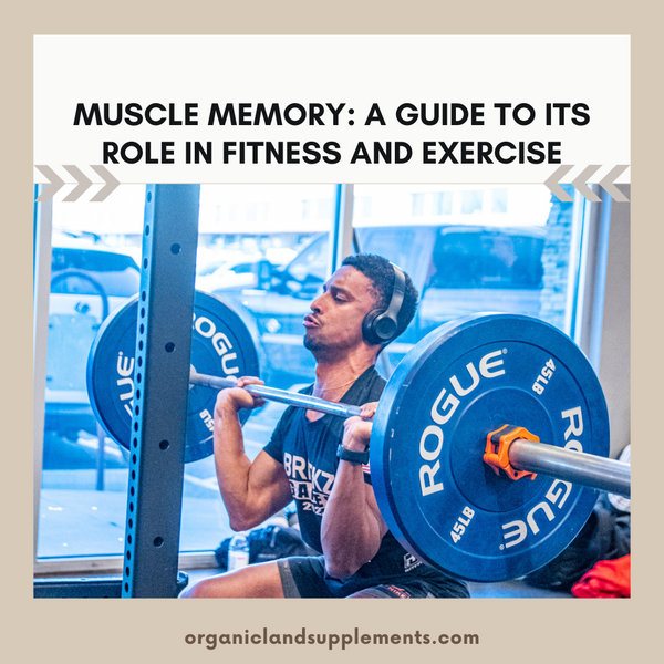 THE PHENOMENON OF  MUSCLE MEMORY:  A GUIDE TO ITS ROLE IN FITNESS AND EXERCISE