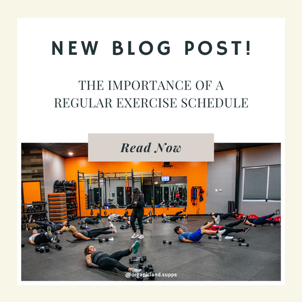 THE IMPORTANCE OF A ﻿REGULAR EXERCISE SCHEDULE