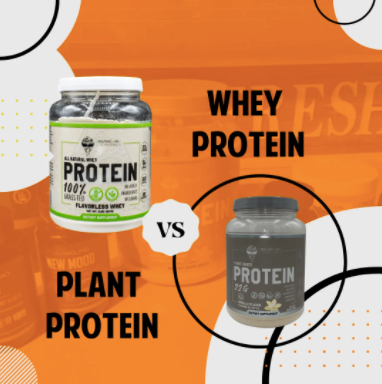 WHEY PROTEIN VS PLANT PROTEIN