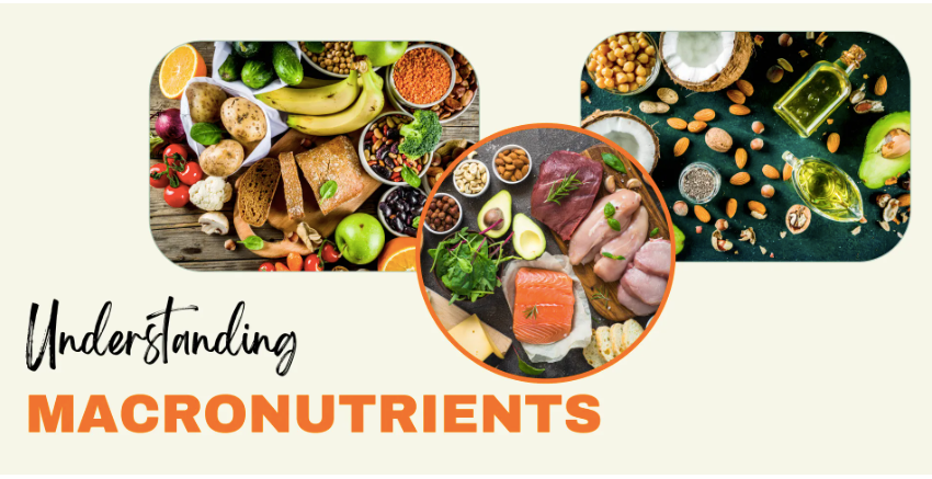Understanding Macronutrients