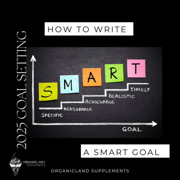 SMART Goal Setting for 2025